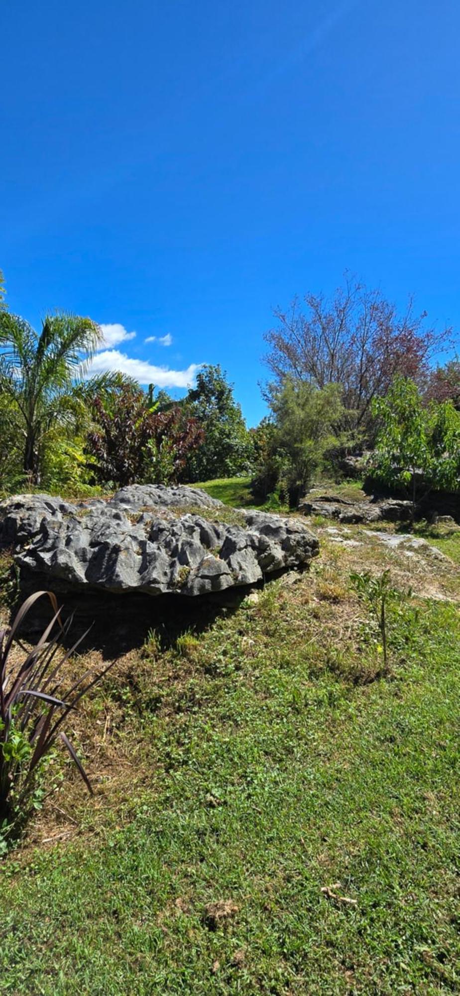 The Rocks Chalets Takaka Kültér fotó